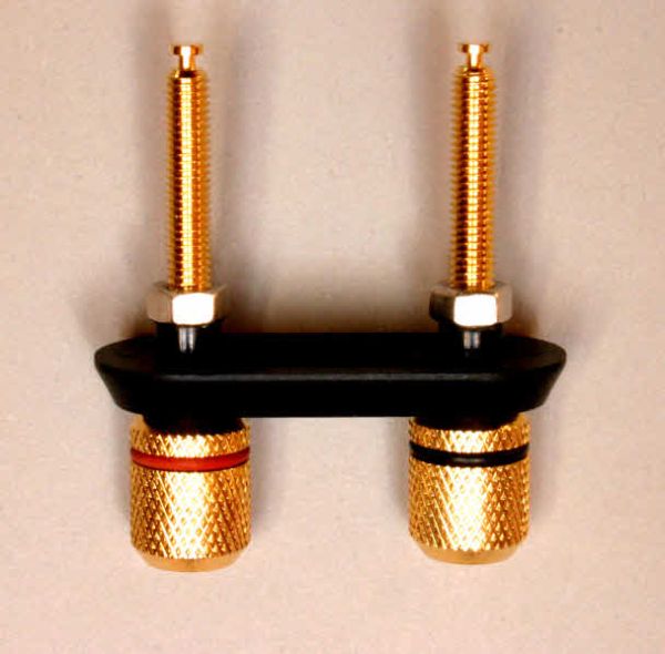 The Falcon Speaker Terminal system Single Pair Version