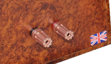 Binding_Posts